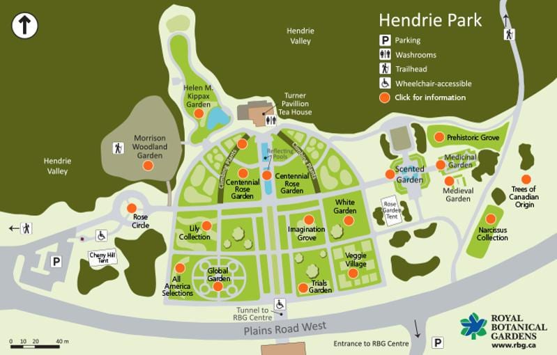 Karta Hendrie Park РБГ 