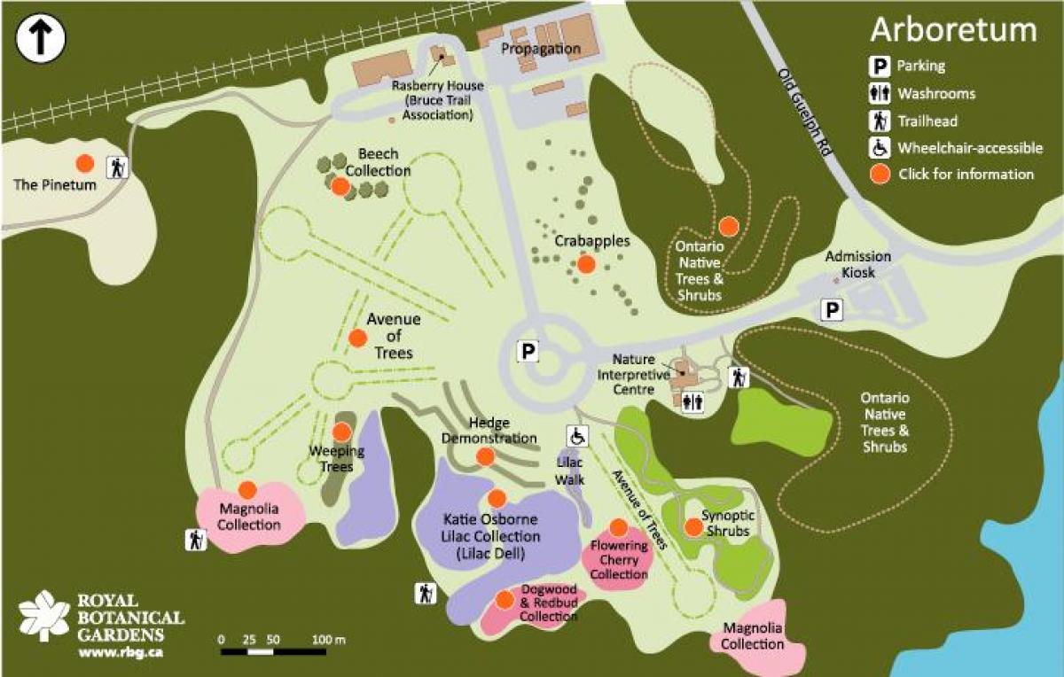 Karta Arboretum РБГ 