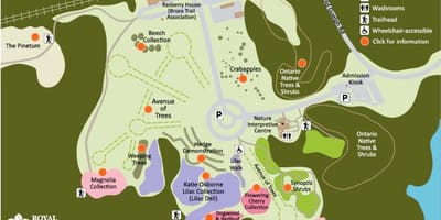 Karta Arboretum РБГ 