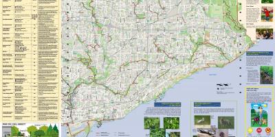 Karta parkova i pješačkih staza na Istoku Toronto